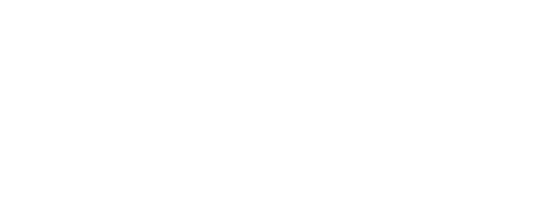 Poker Team Leon Logo